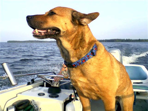 JIm's last boat ride at Crab Orchard Lake